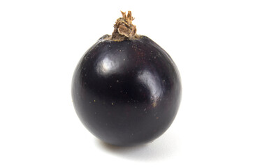 Black currant close up on a white background