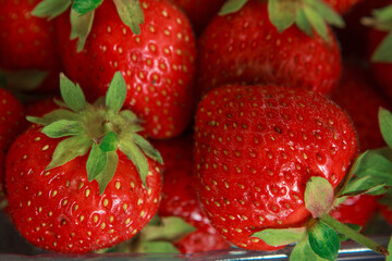 Red ripe strawberries background. Close-up