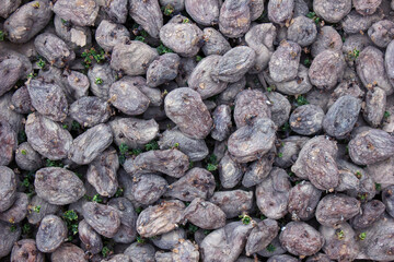 Seeds of old potatoes. Vegetable background of potatoes