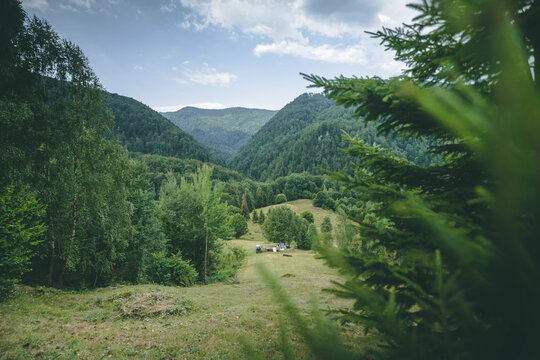 Romanian Mountains - Padis - Apuseni