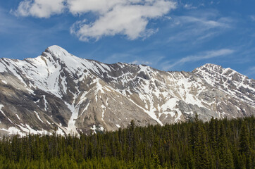 Fototapeta na wymiar Mountain Scenery from the Icefields Parkway