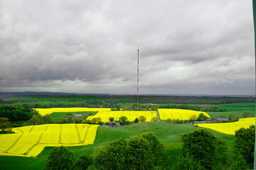 Rapsbl&uuml;te in Ostholstein
