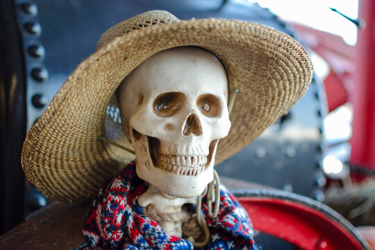 halloween skeleton. A skeleton is wearing a straw hat, a Halloween decoration. Place for text