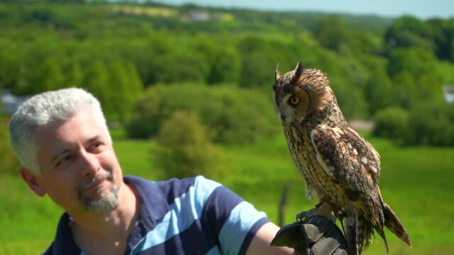 Man holding on hand with glove long eared owl bird of prey which slowly fly away