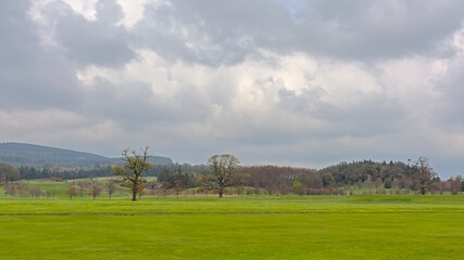 Fototapeta premium Golf course with spring trees of Powerscourt estate in Wicklow mountain landscape on a cloudy day 