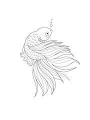 illustration of a fish