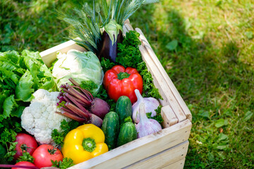 Wooden box full of organic vegetables on grass. Harvest concept.