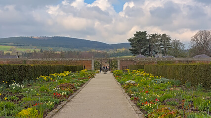 Fototapeta premium Walled gardens with many kinds of flowers, Powerscourt estate, Ireland
