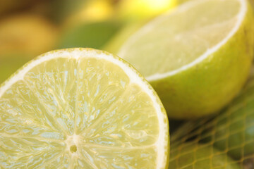 O Limão Taiti é uma das frutas mais conhecidas e usadas no mundo, de aplicações variadas no...