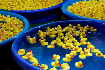 Numerous  blue kiddie pools full of yellow rubber ducks at carnival or amusement park.