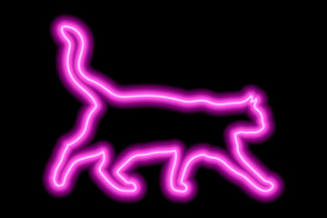 Neon pink cat on a black background. The cat walks with its tail raised high
