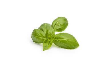 Basil on a pure white background with soft Shadow