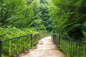 Sarikaya Cave, located in Duzce, Turkey, offers a wonderful view with natural formations, stalactites and stalagmites.