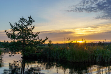 Fototapeta na wymiar Dawn with beautiful sun, trees and water