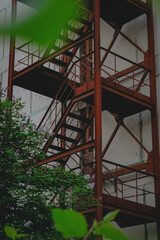 leaves and steel stairs