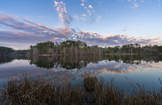 Lake Reflections In East Texas