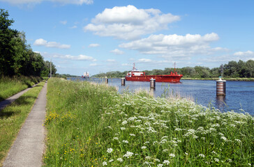 Idylle am Nord-Ostsee-Kanal in Oldenbüttel, Norddeutschland - 442427448