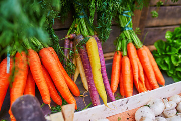 Different types of colorful carrots on farmer market