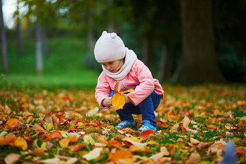 Adorable toddler girl sitting on the ground and gathering fallen leaves in autumn park - Powered by Adobe