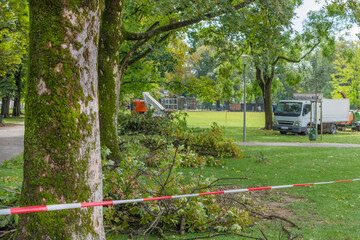 Warning tape in the park because of a storm damage. Fallen tree after a strong summer storm and...