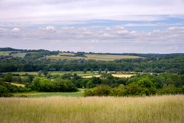 Fototapeta na wymiar The gentle hills of Hampshire from the Monarch's Way, near Old Winchester Hill in summer, England