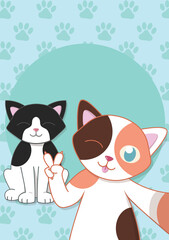 Cute Cats taking a selfie