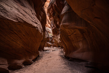 Overhaning Rock Walls Create A Narrow Slot Canyon