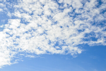 Fototapeta premium blue cloudy skye's