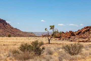 Fototapeta na wymiar Landschaft im Tal von Twyfelfontein, Namibia