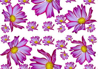 pattern with purple flowers
