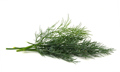 Bunch of fresh dill isolated on white background. Greens ingredient for dishes.