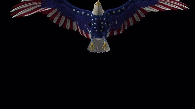 Bald Eagle - USA Flag - Flying Transition - IV - Alpha Channel - 3D Animation