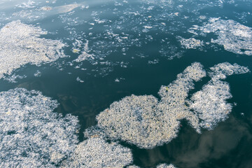 mucilage on the sea surface, environmental disaster, sea pollution, foams on water,