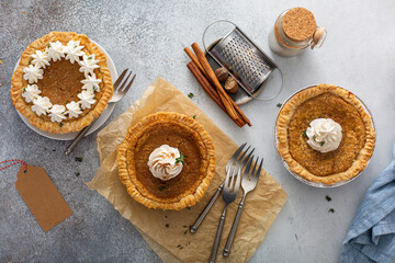 Mini pumpkin or sweet potato pies for Thanksgiving © fahrwasser