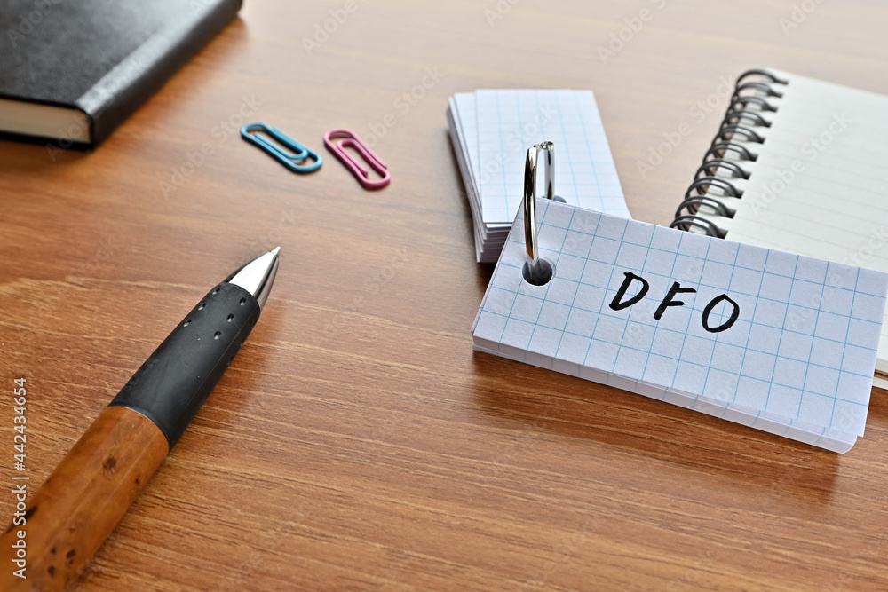 Poster there is a word book with the word of dfo which is an abbreviation for data feed optimization on the