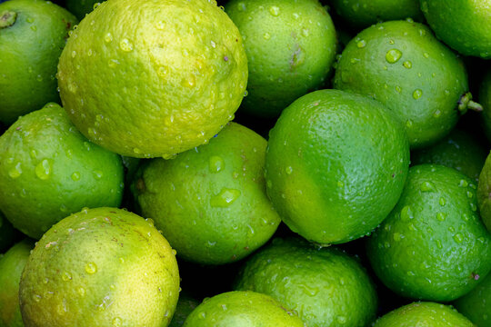 Fresh green lemons