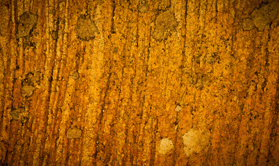 abstract yellow texture old background