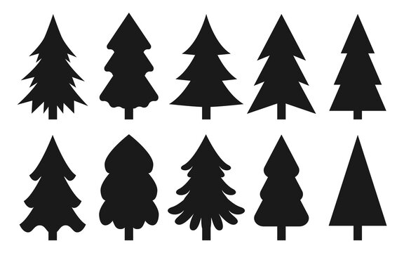 Tree conifer black silhouettes on the white background set. Pine silhouettes isolated on white background. Christmas, New Year decoration for room, dishes. Shape with corners, soft lines and rounded.