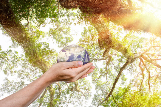 Globe, earth in human hands over green nature background. Idea for save the world. Elements of this image furnished by NASA