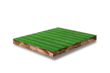 Green grass football field isolated on white background. Soccer field for sport game