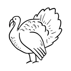 Hand drawn turkey bird. Doodle sketch style. Drawing line simple turkey icon. Isolated vector illustration.