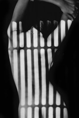 nude art of naked woman with light and shadow strip on dark background