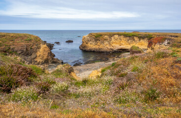 Scenic coastal landscape in MacKerricher State Marine Conservation Area near Fort Bragg, California