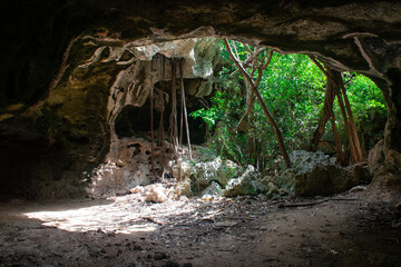 A shot from inside the Bat Cave in Cayman Brac looking out into the dense vegetation. These limestone formations make pleasant tourist attractions