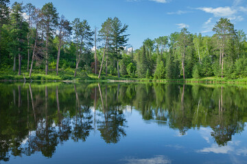 Fototapeta na wymiar Calm blue lake and trees on a sunny evening in northern Minnesota during summer