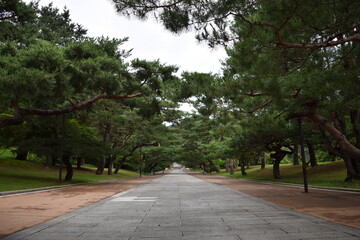 alley in the park