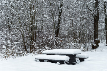 Bench in the snow