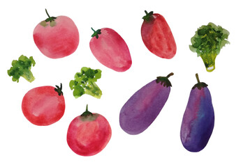 Set of cliparts tomatoes, eggplants, broccoli. The illustration is drawn in watercolor by hand.