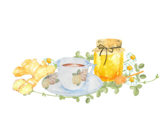 ショウガと蜂蜜とティーカップの水彩画