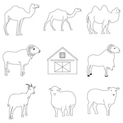 set of vector farm animals for the sacrifice of Eid al-Adha. senior line of goats, cows, buffalo, sheep